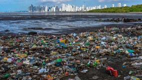 Study projects plastic waste in oceans will triple by 2040 — but there's something we can do