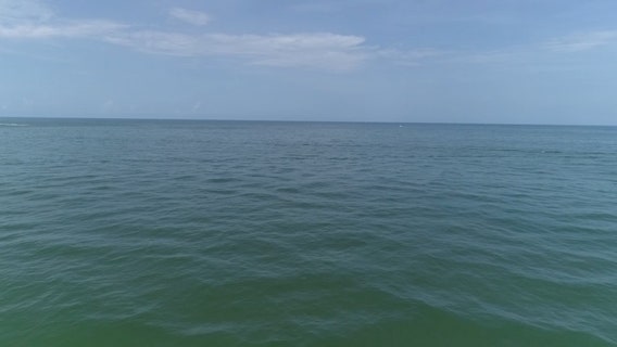 Man missing after falling from Florida dinner cruise