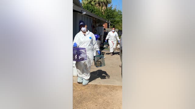 Arizona Humane Society: 227 rabbits and bunnies seized from Gilbert home