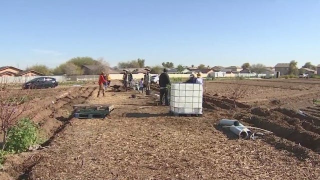 Former WNBA star talks about her passion for growing food