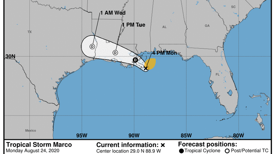 TS Marco makes landfall; southeast Texas under alert as TS Laura approaches