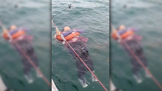 Colombian woman, who was missing for 2 years, found alive at sea