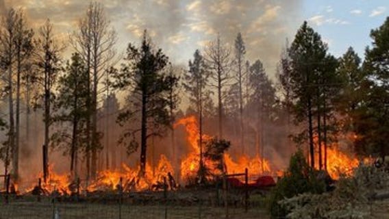 Evacuation orders lifted in Doney Park as wildfire burns near Flagstaff; person of interest sought and found