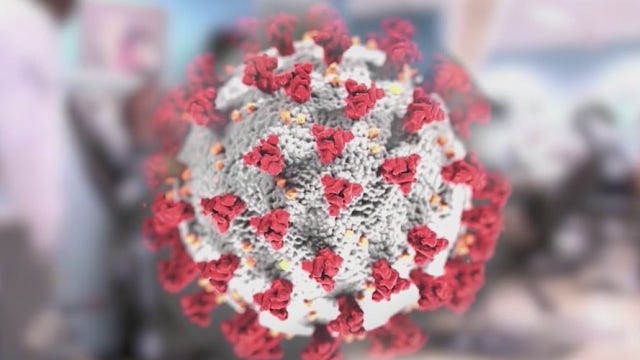 Maricopa County health officials launch 'Serosurvey' to learn COVID-19 antibody numbers