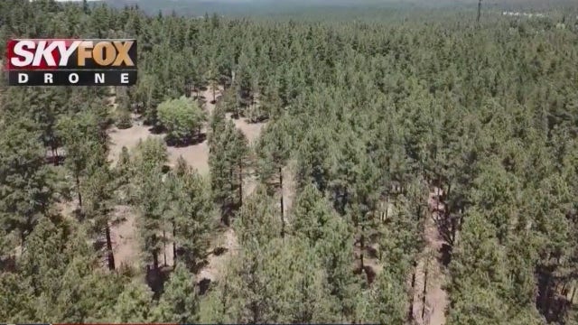 Arizona state parks preparing for busy Labor Day weekend