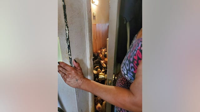 90 dogs found inside home, Casa Grande police investigates animal cruelty case