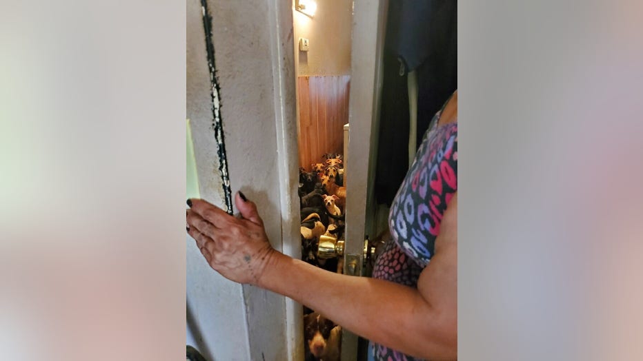Casa Grande animal cruelty invesigation