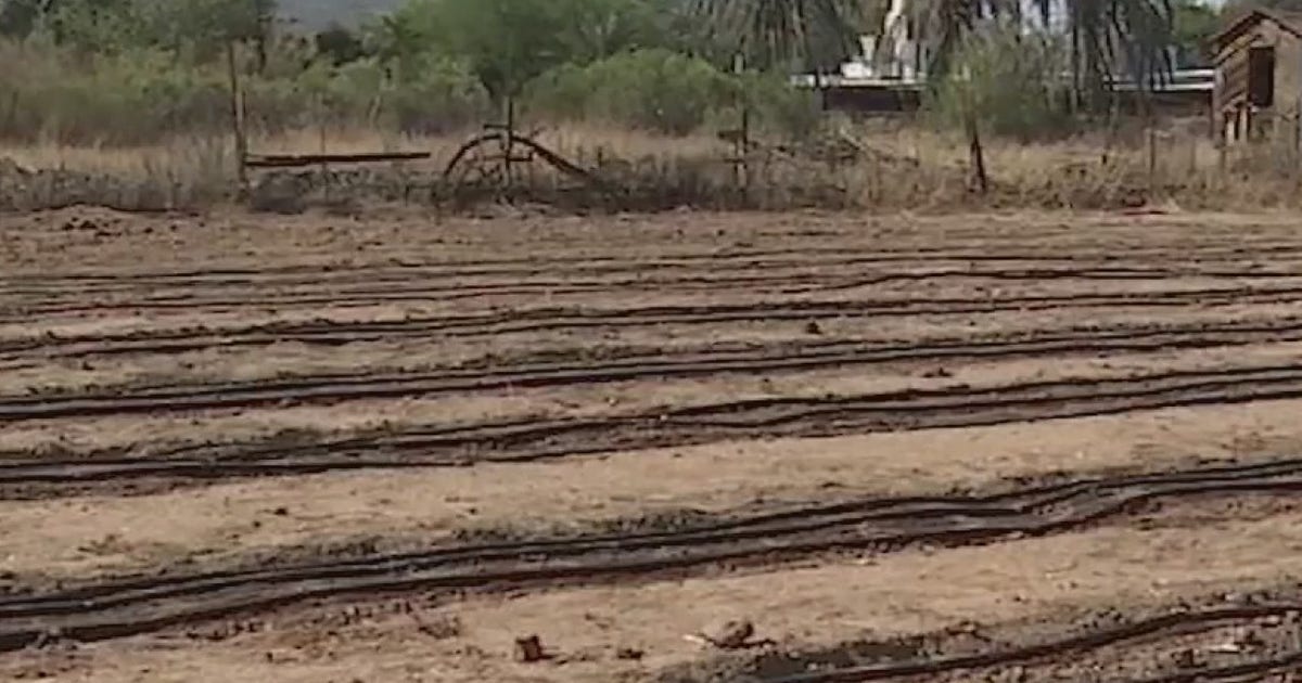 Valley farmers feeling the impact of record-breaking heat | FOX 10 Phoenix