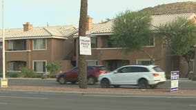 Residents frustrated as political signs are stolen from Ahwatukee neighborhood