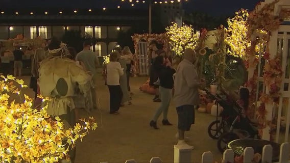 Olmost The Weekend: Scottsdale resort aims to bring some Halloween spirit to people's lives