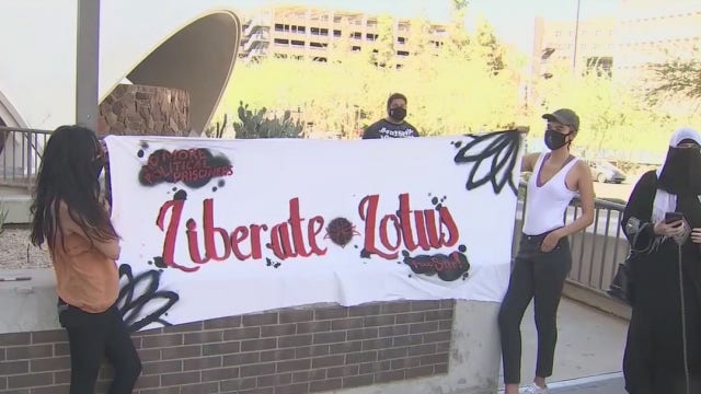 Anti-police brutality demonstrators accused of assisting street gang