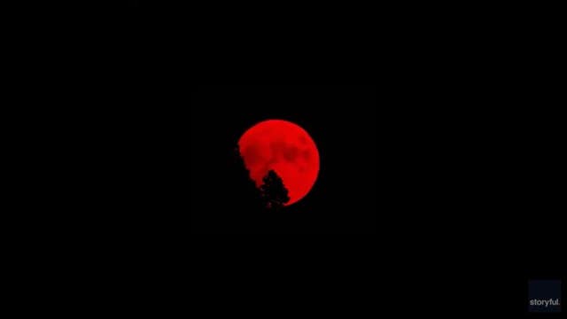 Blood red moon: Wildfires cause moon to glow red over California