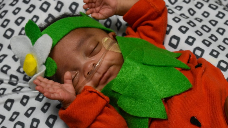 NICU Babies Celebrate Halloween In Adorable Fashion At Florida Hospital ...