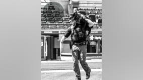 MCSO K-9 Yankee dies from aggressive brain tumor