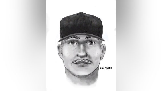 Two men sought after following Nov. 2 Phoenix sexual assault, one sketch released