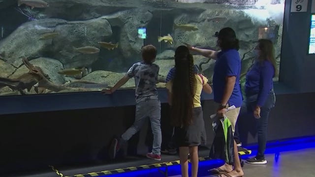 First responder families privately tour OdySea for a day of fun