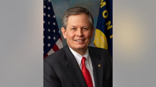 Montana senator sends campaign team to Arizona for ballot count