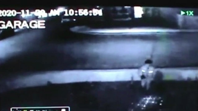 Caught on camera: Suspects stealing Christmas decorations from Avondale home