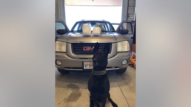 Yavapai County K9 sniffs out 10 pounds of meth on I-40