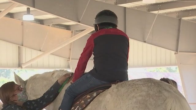 Children at crisis center enjoy Christmas Day on the farm