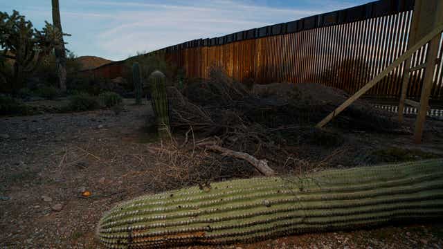Damage from border wall: blown-up mountains, toppled cactus