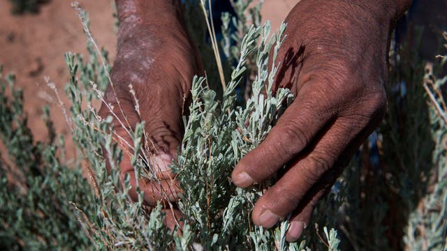 Tribes try to shield elders and their knowledge from virus