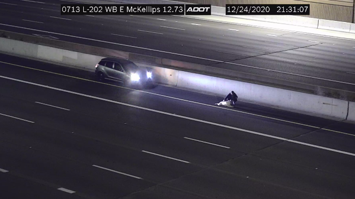 Injured dog rescued on Loop 202 by driver is 'home resting and being spoiled' - Vimarsana News