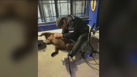 Homeless man reunited with allegedly stolen service dog