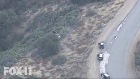 Driver suspected of stealing car crashes into bushes after leading CHP on chase from 5 Freeway