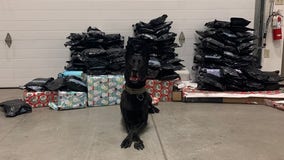 YCSO K-9s help seize over 130 pounds of marijuana, including some wrapped as Christmas gifts