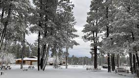 Winter storm warning issued for parts of north-central Arizona