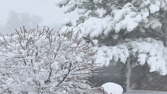 Winter Storm Warning in effect for northern Arizona; multiple highways closed