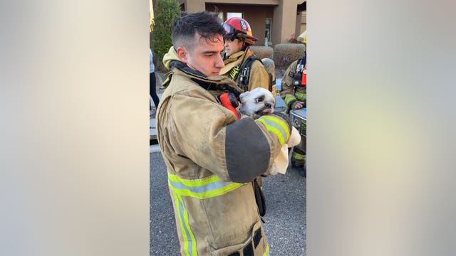 Unconscious dog rescued by Phoenix fire crews during house fire