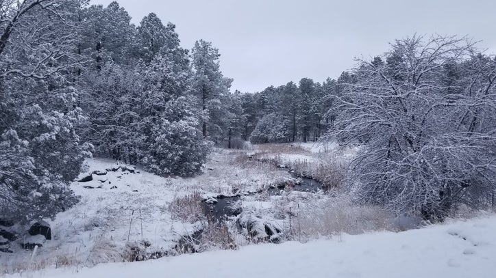 Winter Storm Warning in effect for northern Arizona; rain, hail reported across the Valley - Vimarsana News