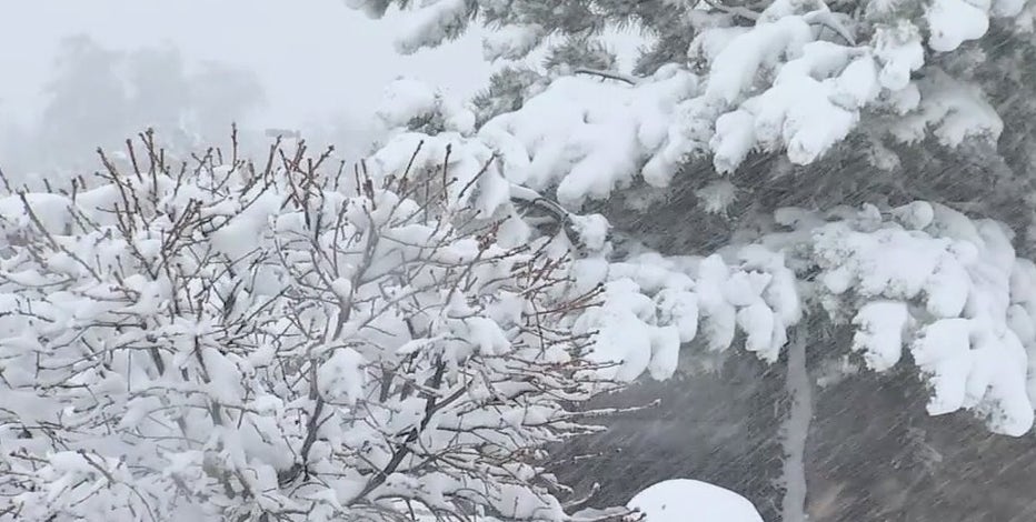 Winter Storm Warning in effect for northern Arizona; multiple highways closed