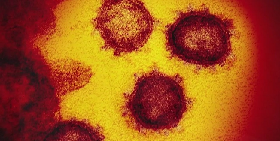 Arizona universities team up to detect COVID-19 mutations