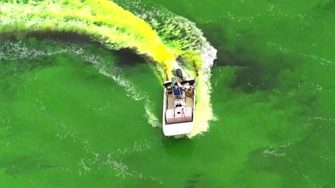 Chicago River dyed green in annual St. Patrick's Day tradition - National