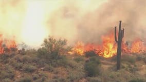 More forests in Arizona impose fire, smoking restrictions