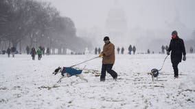 Major snowstorm hits Northeast, bringing up to 2 feet of snow and blizzard conditions