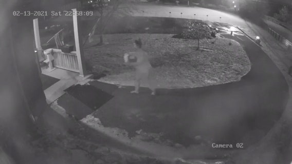 5 puppies die after being left outside animal shelter in below-freezing temperatures