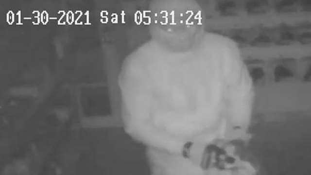 Police search for suspect accused of stealing 14 guns from Payson store