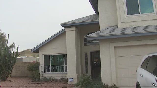 2 dogs dead after bee swarm attack at Peoria home