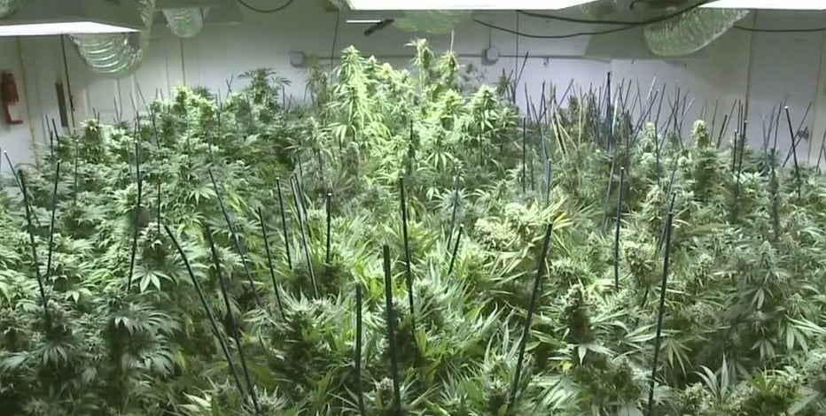 Check the stash: AZDHS announces voluntary pot product recall due to contamination worries