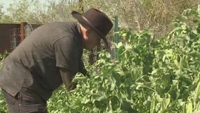 Blind man volunteers, plants hundreds of seeds at St. Vincent de Paul's Urban Farm in Phoenix