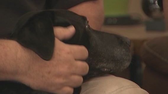 Explosive detective K-9 Brian's handler recalls his time with his partner