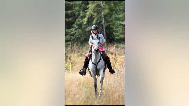 $5,000 reward offered for horse lost in Wickenburg