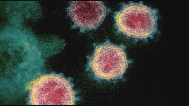 New COVID-19 infections in Arizona surge past 2,800 cases