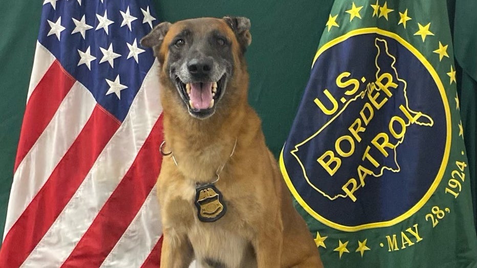 Border 2024 patrol k9