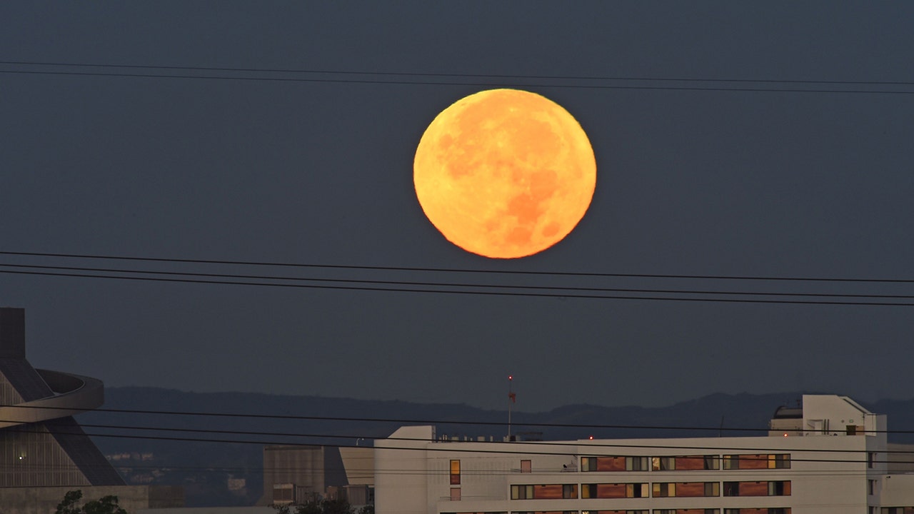 Supermoon Pink Moon aparece grande y brillante en el cielo de la tarde en abril: así es como mirar
