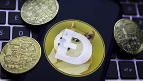 'Doge Day': Cryptocurrency fans aim to drive Dogecoin value up